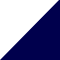 Anteojos - WHITE/BLUE,(USA LIMITED EDITION)